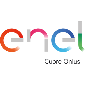 Partner_enel